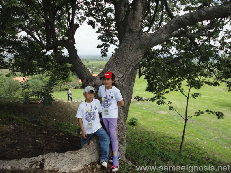 Foto Congreso 2012 42