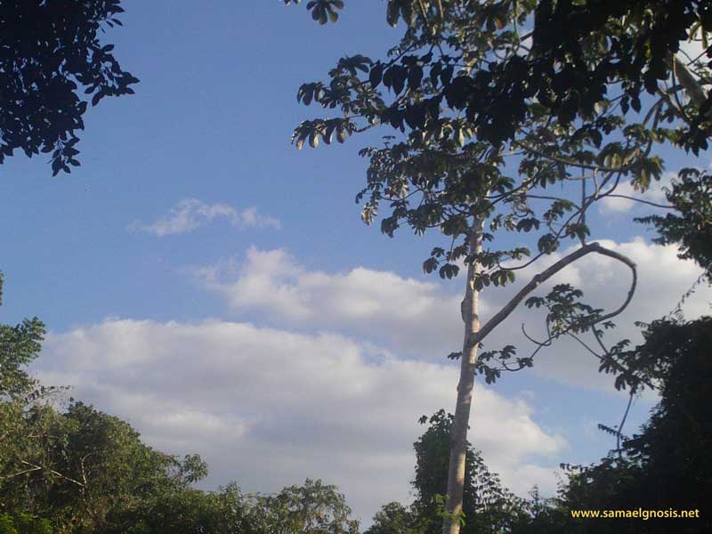 Cielo EN Chichén Itzá