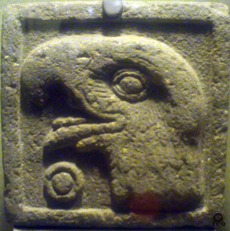 Numeral Uno águila (Museo de Antropología e Historia México)