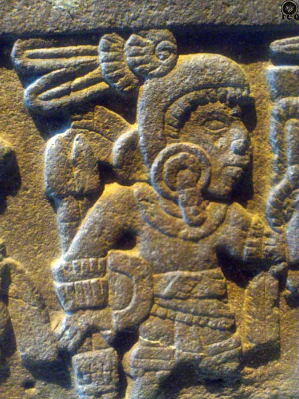 Adornos de guerrero
(Museo de Antropología e Historia México)