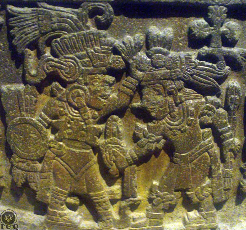 Detalle Piedra de Moctezuma
(Museo de Antropología e Historia México)