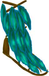 Sandalias de Huitzilopochtli