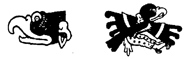 16 Cozcacuauhtli zopilote