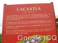 Cacaxtla 10