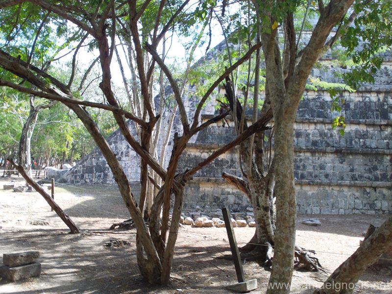 Chichén Itzá Foto 1615