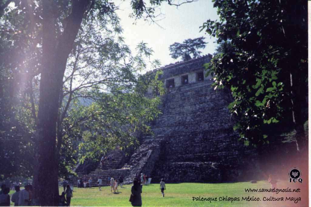 Palenque 11