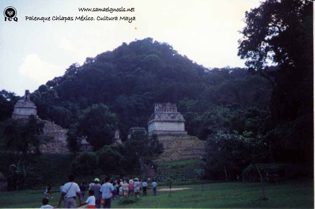 Palenque 15