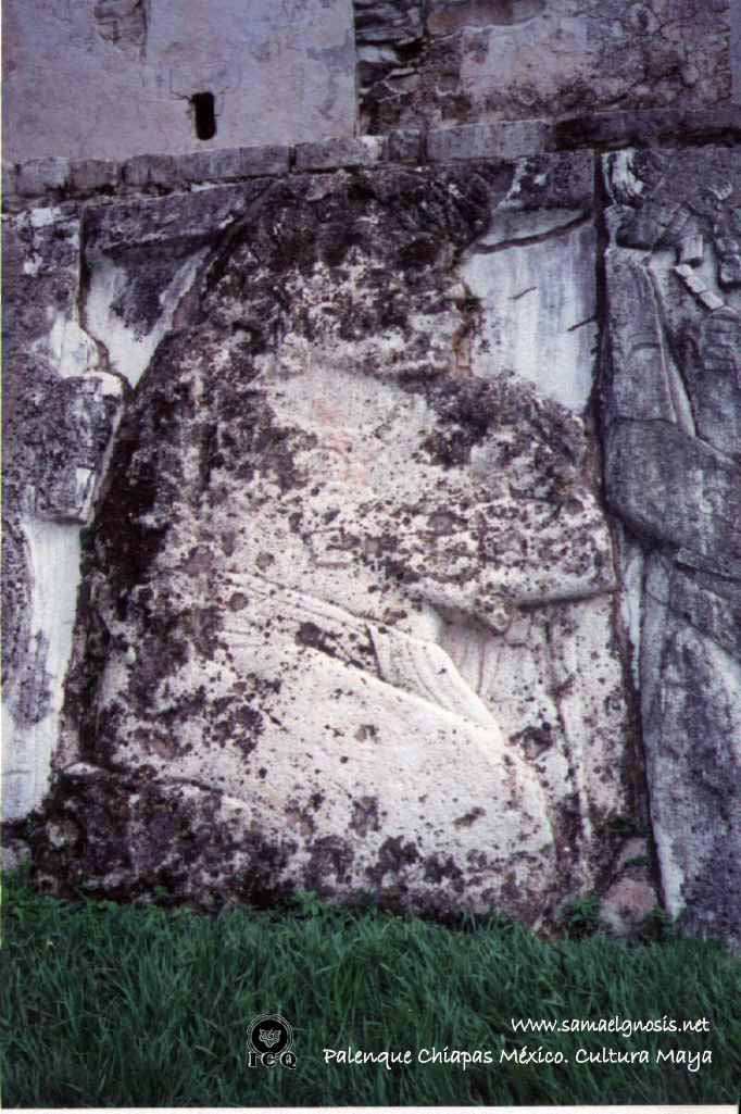 Palenque 16