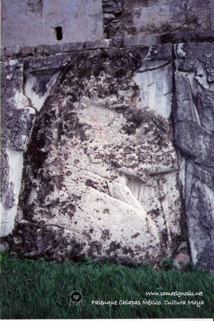 Palenque 17