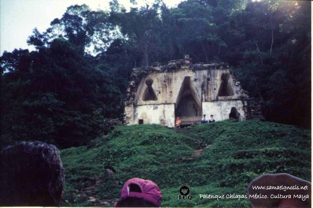Palenque 19