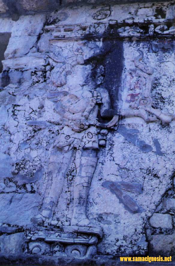 Palenque 26