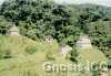 Palenque 58