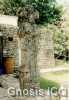 Palenque 59