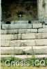 Palenque 61