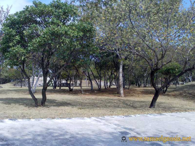 Zona Arqueológica de Xochicalco Foto 0005