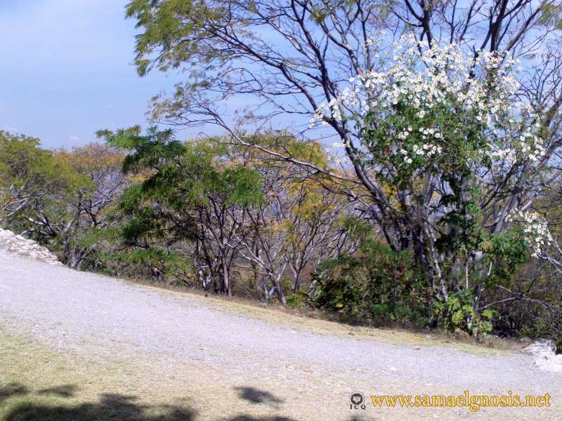 Zona Arqueológica de Xochicalco Foto 0183