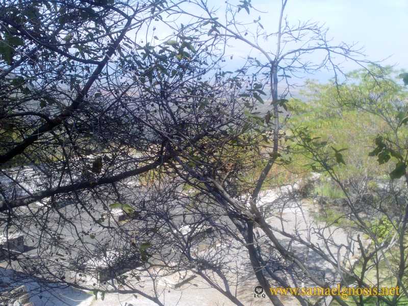 Zona Arqueológica de Xochicalco Foto 0230