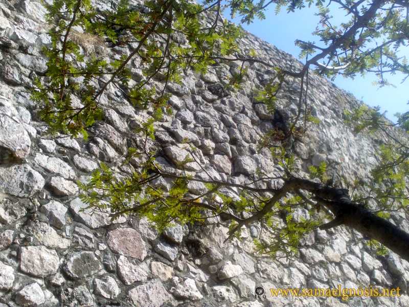 Zona Arqueológica de Xochicalco Foto 0293