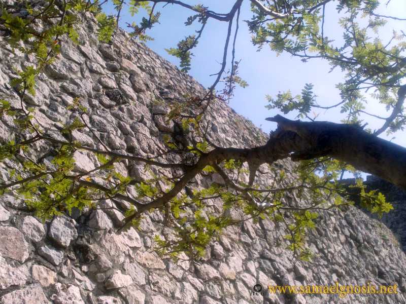 Zona Arqueológica de Xochicalco Foto 0294