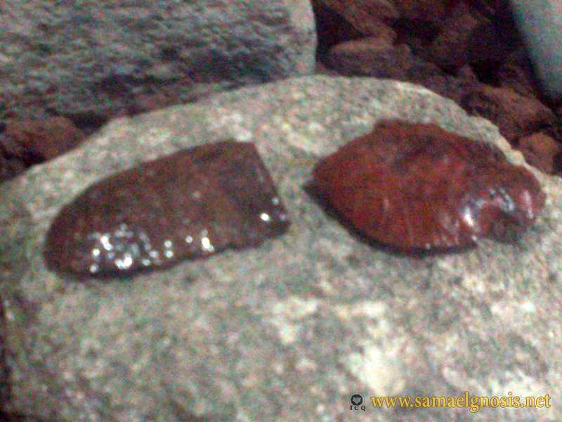 Zona Arqueológica de Xochicalco Foto 0744