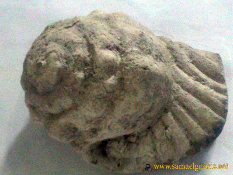 Zona Arqueológica de Xochicalco Foto 0762