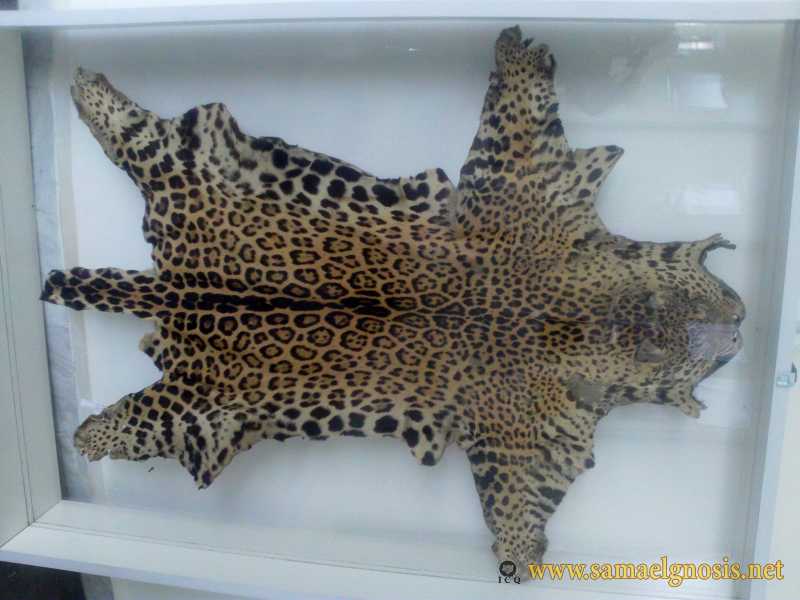 Zona Arqueológica de Xochicalco Foto 0818