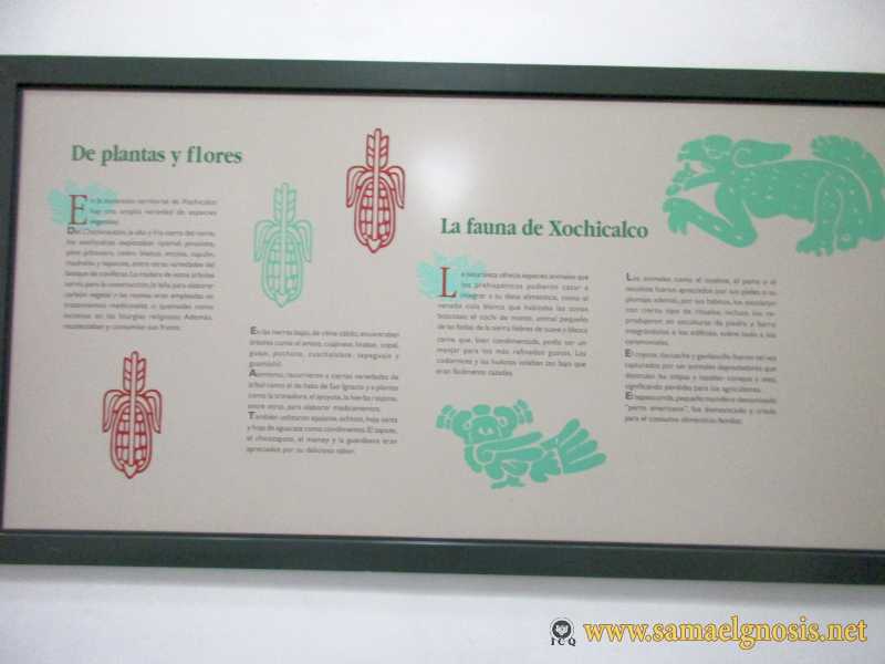Zona Arqueológica de Xochicalco Foto 0914