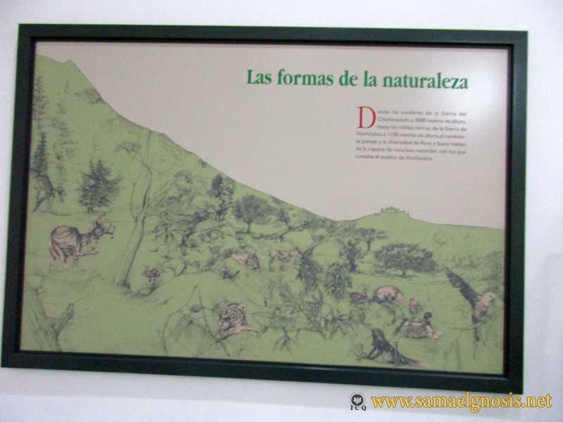 Zona Arqueológica de Xochicalco Foto 0916