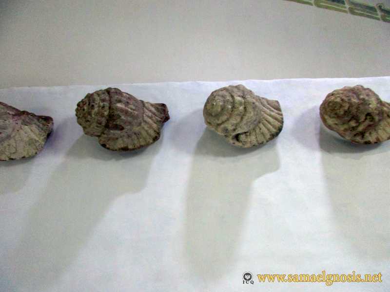 Zona Arqueológica de Xochicalco Foto 0947