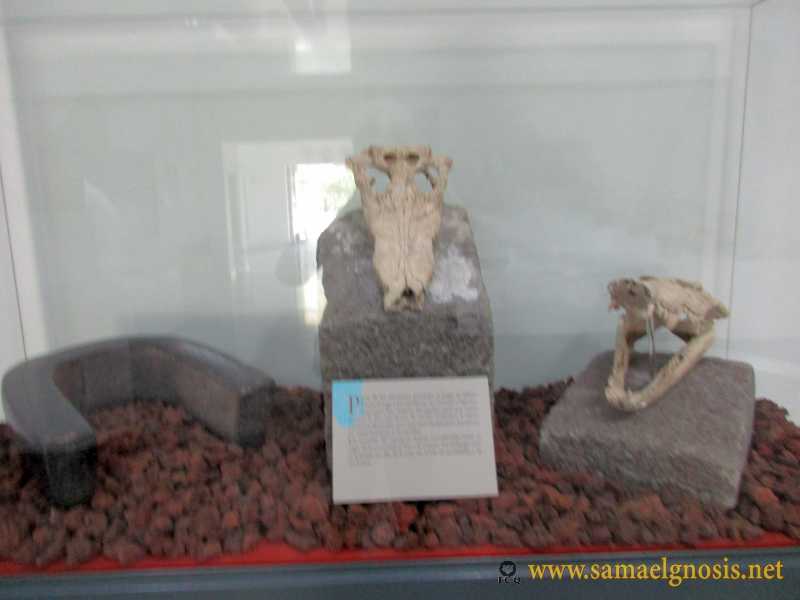 Zona Arqueológica de Xochicalco Foto 0967