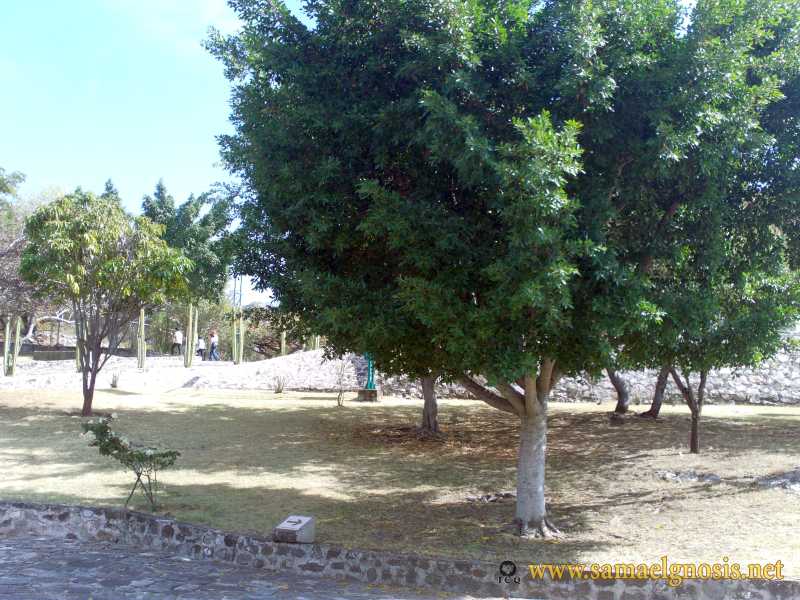 Zona Arqueológica de Xochicalco Foto 1134