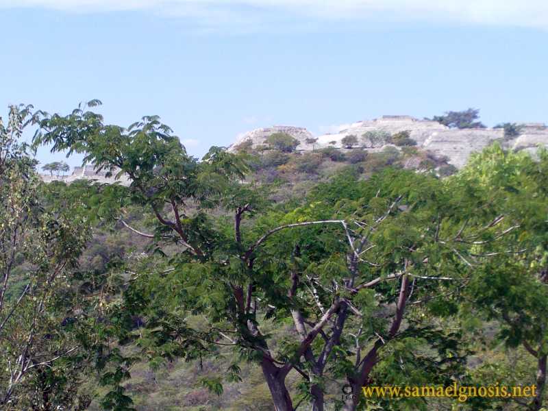 Zona Arqueológica de Xochicalco Foto 1150