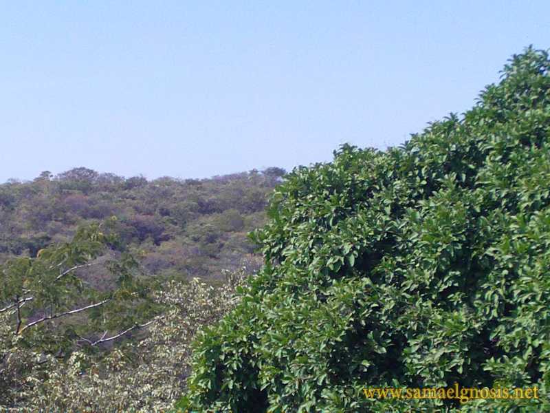 Zona Arqueológica de Xochicalco Foto 1156