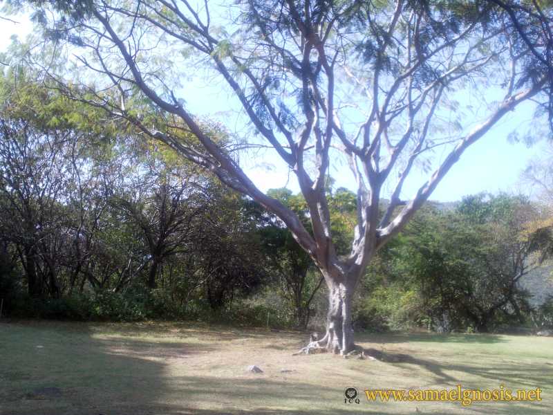 Zona Arqueológica de Xochicalco Foto 1181