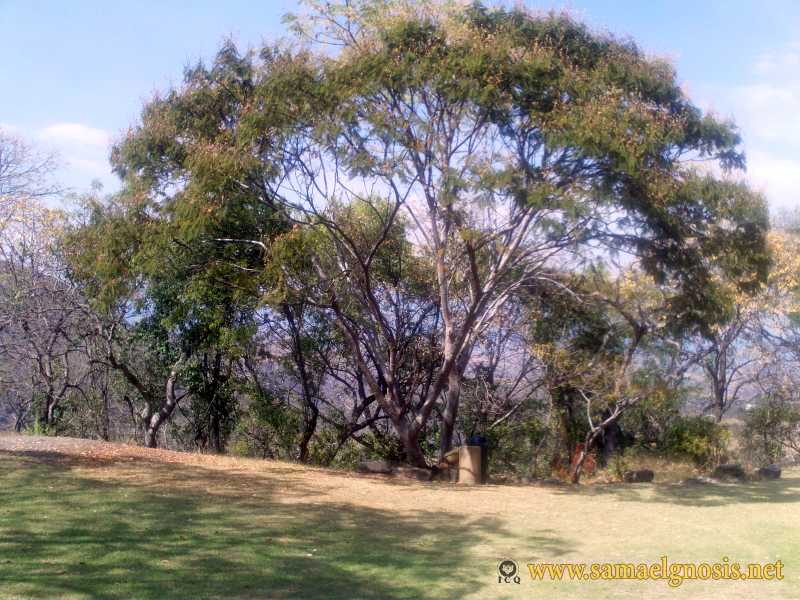 Zona Arqueológica de Xochicalco Foto 1186