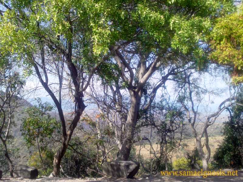 Zona Arqueológica de Xochicalco Foto 1189
