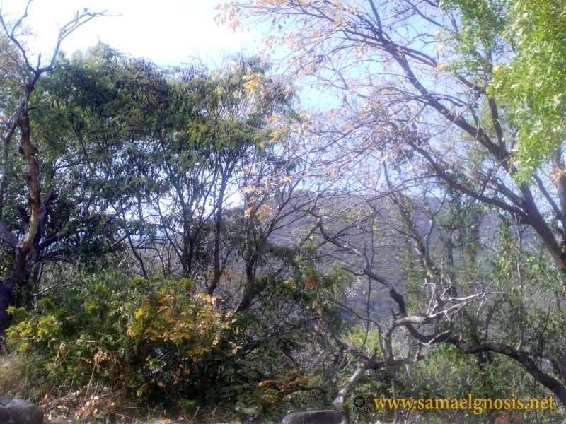 Zona Arqueológica de Xochicalco Foto 1190