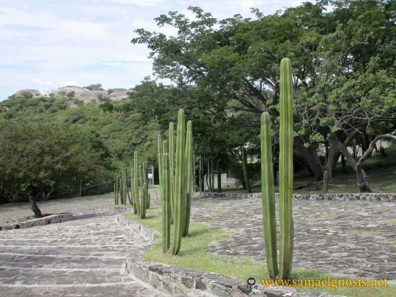 Zona Arqueológica de Xochicalco Foto 1196