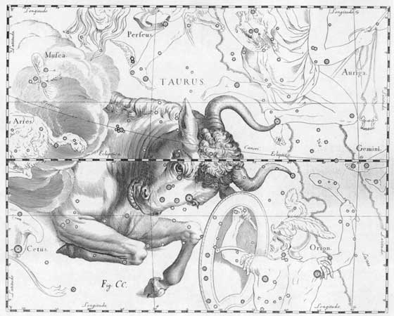 Imagen: Taurus. Johannes Hevelius. 1690. Imagen: Taurus. Johannes Hevelius. 1690.