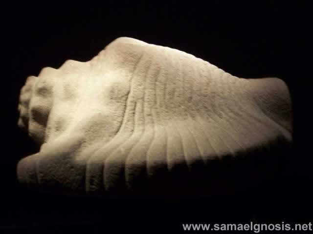 Caracol. templo Mayor