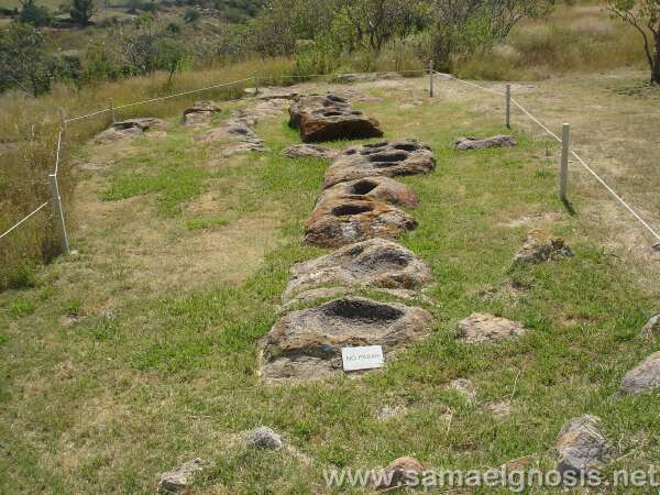 Serpiente de Agua. Plazuelas