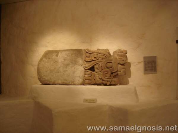 Serpiente Cocodrilo. Plazuelas