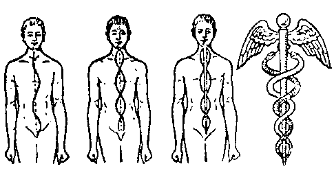 Canales espinales (imagen del libro: Los Chakras de C.W. Leadbeater)