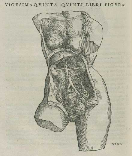 Andreas Vesalius (Bruselas, 1514 – Zante, Grecia, 1564): "De humani corporis fabrica", 1543.