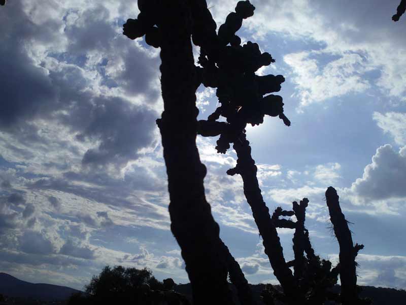 Paisaje de Tula Hidalgo México