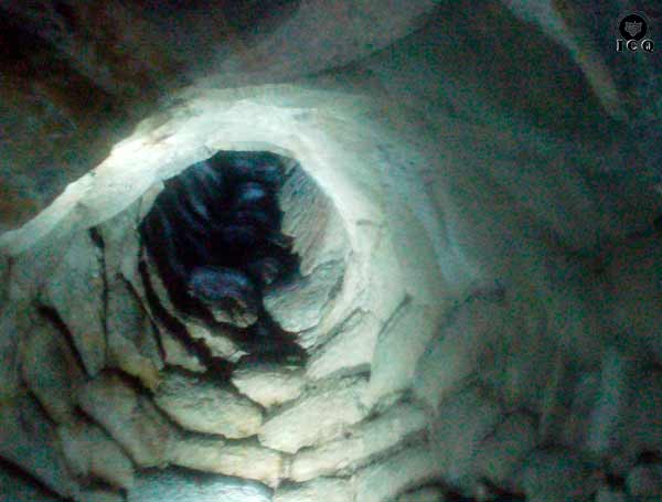 Templo de Quetzalcóatl (detalle). Zona Arqueológica de Xochicalco