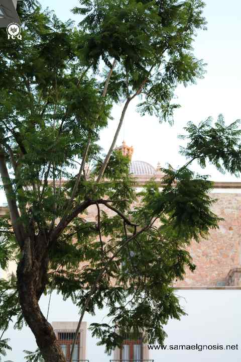 Aguascalientes, Ags. México