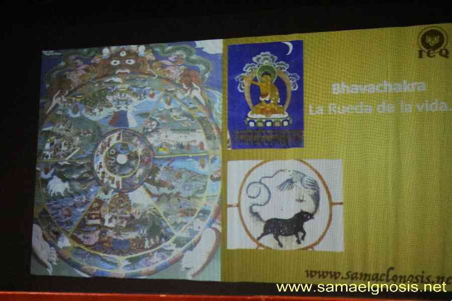 Samsara Samsara