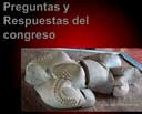 Preguntas