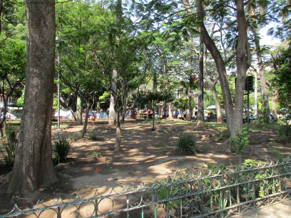 Cuernavaca Morelos. México. Cuernavaca Morelos. México.
